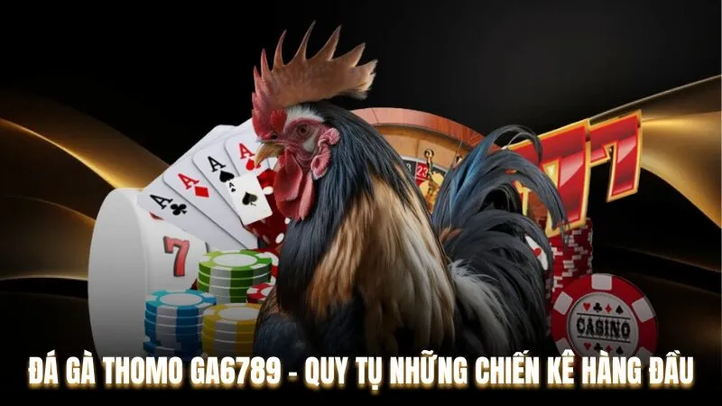 Đá gà – Sản phẩm “đinh” làm nên tên tuổi