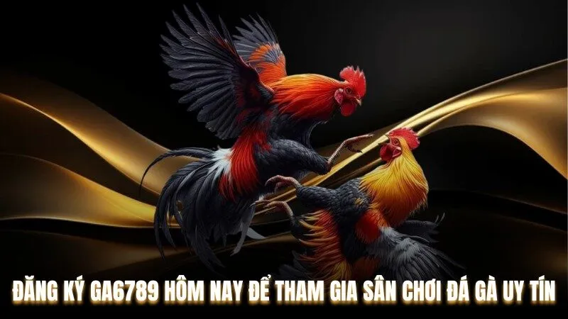 Hướng dẫn tham gia cá cược trên nền tảng Ga6789